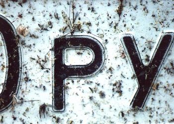 Александр Холодов узнал, что ГИБДД из-за компьютерного сбоя зарегистрировала сотни арестованных машин