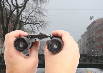 За машинами на газонах приедут с фоторужьем