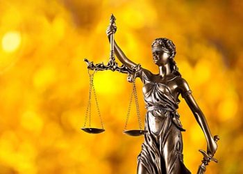 Приватизаторы права