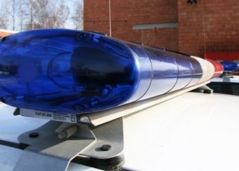 Регистрация авто без ГИБДД стала первым шагом России к «почтовому» опыту Германии