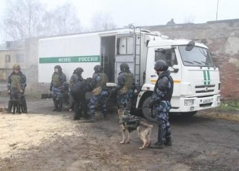 ОНК: на системном уровне в Петербурге пыток нет