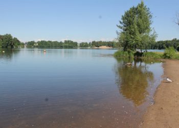 ОНФ в Петербурге добивается улучшения экологической обстановки в акватории и на берегу Суздальских озер