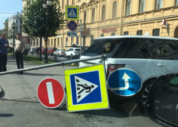 Эксперт объяснил, что делать с упавшими на машину деревьями и знаками