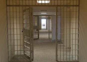 ФСИН проверяет колонии и СИЗО Петербурга после информации об издевательствах над заключенными