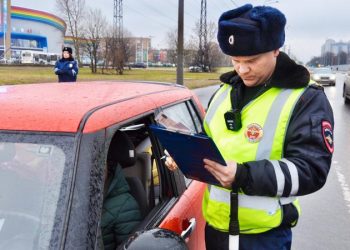 Собачники, лихачи, шумные соседи: найдут ли на них в Петербурге управу новые штрафы?