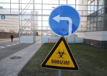 По примеру Москвы. Как в Петербурге могут работать электронные пропуска