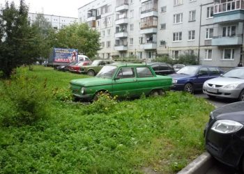 Берегись, водитель: штрафам за парковку на газонах и у мусорок в Петербурге ищут «ноу-хау»