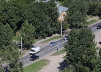 Шоссе раздора: как расширить дорогу в Купчино и не срубить деревья