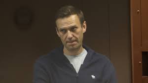 Эксперт указал на предвзятость позиции ЕСПЧ по делу Навального