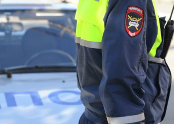 «Второй шаг». Эксперт объяснил, зачем МВД нужна система «Паутина»