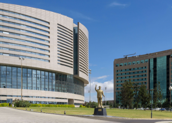 Члены ОП РФ станут наблюдателями на голосовании в Эфиопии