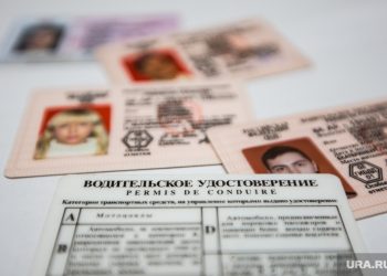 Общественники предложили обучать новую категорию водителей в РФ