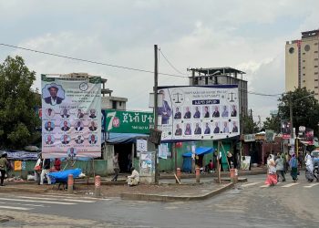 «Голосование в Эфиопии прошло дисциплинированно» — Михаил Аничкин