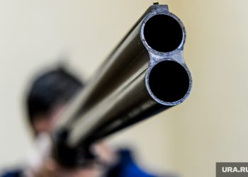 В Общественной палате призвали усложнить правила покупки оружия