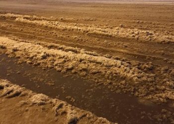 ЖИТЕЛИ ПЕТЕРБУРГА ПРОСЯТ ГУБЕРНАТОРА ВЗЯТЬ ПОД ЛИЧНЫЙ КОНТРОЛЬ СИТУАЦИЮ С УБОРКОЙ СНЕГА