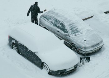 Совет Федерации одобрил закон об отмене обязательного техосмотра