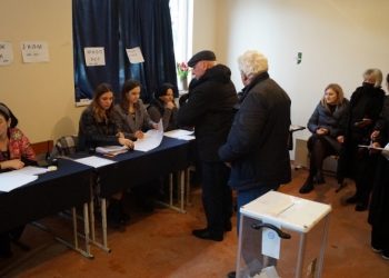 Наблюдатели из Общественной палаты РФ отметили корректность выборов в парламент Абхазии