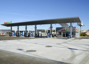 ЭКСПЕРТЫ ОЦЕНИЛИ МОТИВАЦИЮ ПЕТЕРБУРЖЦЕВ В ПЕРЕХОДЕ НА ГАЗОМОТОРНОЕ ТОПЛИВО