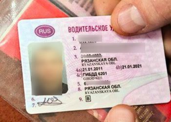 Автоэксперт Холодов рассказал о плюсах создания нового ресурса для проверки водительских прав