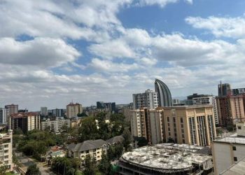 Наблюдатель от России Холодов объяснил, почему в Кении опасаются волнений после президентских выборов