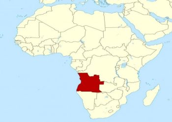 Члены ОП РФ будут наблюдать за всеобщими выборами в Анголе