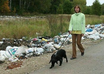 Дорожные камеры настроят на выбрасывающих мусор