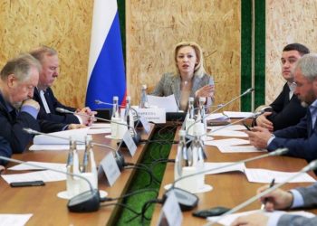 Ольга Тимофеева: «Мы беспокоимся, что законы не могут начать качественно работать»