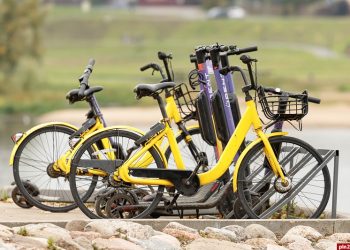 В Общественной палате настаивают на введении прав для самокатчиков