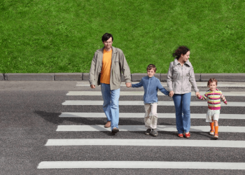 В Петербурге начали фиксировать машины, не уступившие дорогу пешеходам