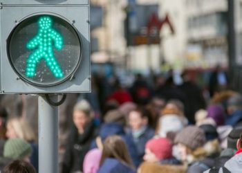 В Общественной палате обсудили возможность прописания правил дорожного движения для пешеходов